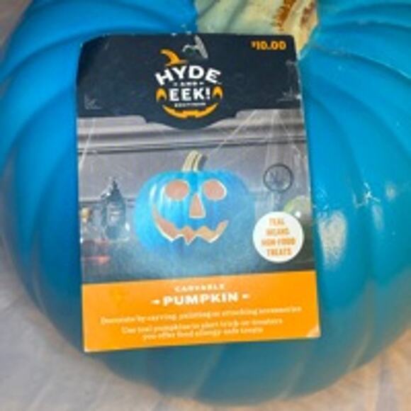 Hyde & Eek! Teal Pumpkin Project Halloween Candy Bowl Decor Pumpkin - Picture 3 of 6